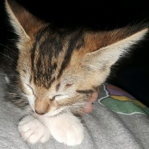 Meet your Posher, Heatherly